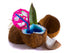 Fresh Coconut Cocktail Wall Decal