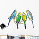 Four Budgie Parakeets Wall Decal