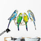 Four Budgie Parakeets Wall Decal