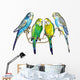 Four Budgie Parakeets Wall Decal