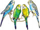 Four Budgie Parakeets Wall Decal