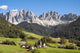 Odle Val Di Funes Wall Decal