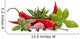 Chili Pepper and Flavoring Wall Decal
