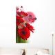 Multi-colored Gerbera Daisies and Butterfly Wall Decal