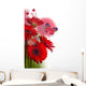 Multi-colored Gerbera Daisies and Butterfly Wall Decal