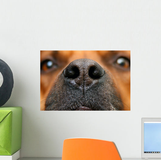 Nose Dog Wall Decal