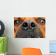Nose Dog Wall Decal