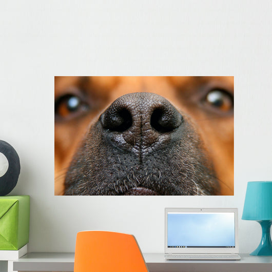 Nose Dog Wall Decal