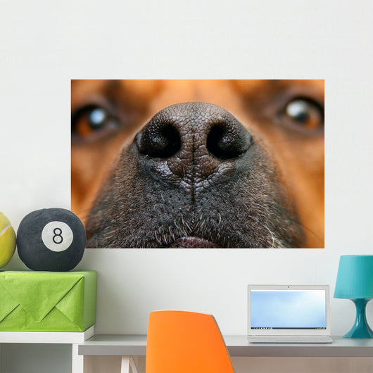 Nose Dog Wall Decal