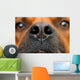 Nose Dog Wall Decal
