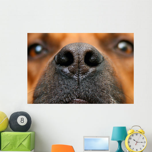Nose Dog Wall Decal