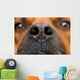 Nose Dog Wall Decal