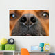 Nose Dog Wall Decal