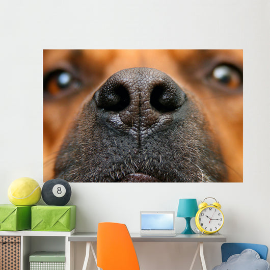 Nose Dog Wall Decal