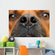 Nose Dog Wall Decal