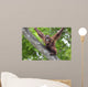 Borneo Orangutan Wall Decal
