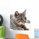 Portrait Cat Wall Decal