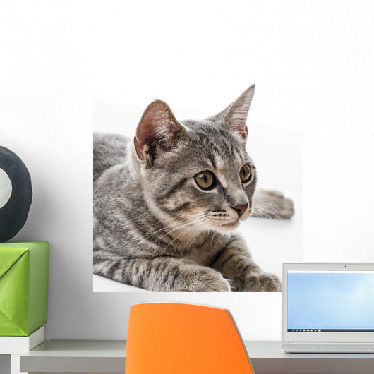 Portrait Cat Wall Decal