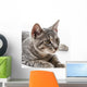Portrait Cat Wall Decal