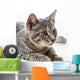 Portrait Cat Wall Decal