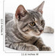 Portrait Cat Wall Decal