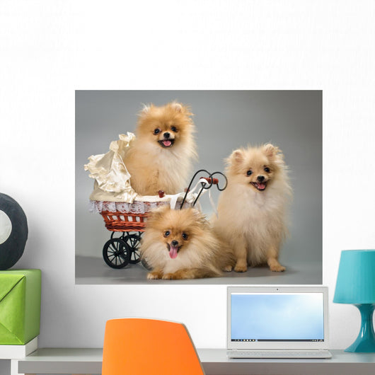 Three Puppies with Sidecar Wall Decal