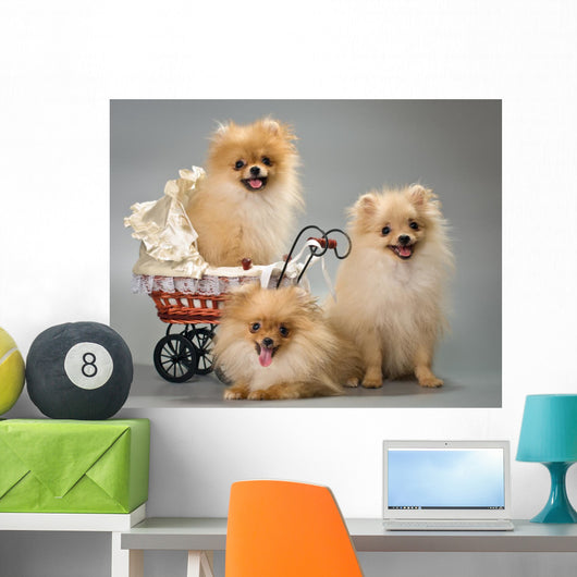 Three Puppies with Sidecar Wall Decal
