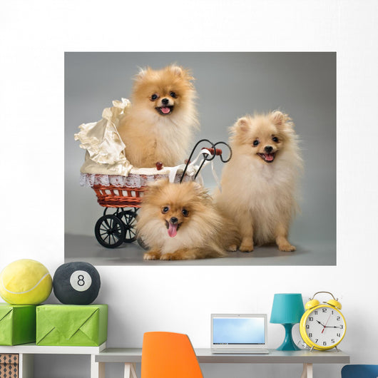 Three Puppies with Sidecar Wall Decal