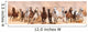 Herd Horses Running Sand Wall Decal