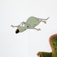 Rat Lays Stomach Wall Decal