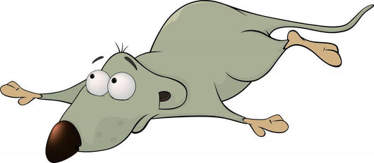 Rat Lays Stomach Wall Decal