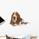 Basset Hound Laying down Wall Decal