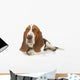 Basset Hound Laying down Wall Decal