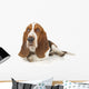 Basset Hound Laying down Wall Decal