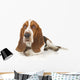 Basset Hound Laying down Wall Decal