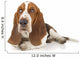 Basset Hound Laying down Wall Decal