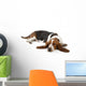 Resting Basset Hound Wall Decal