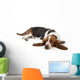 Resting Basset Hound Wall Decal
