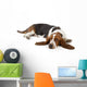 Resting Basset Hound Wall Decal