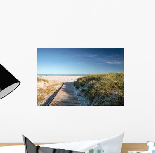 Web and White Sand Wall Decal