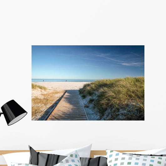 Web and White Sand Wall Decal