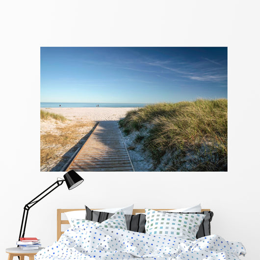 Web and White Sand Wall Decal