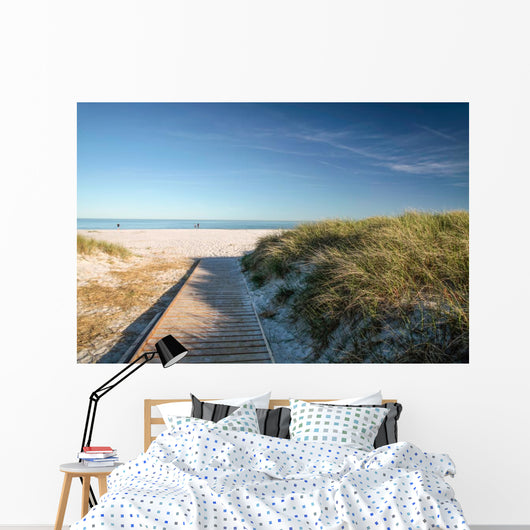 Web and White Sand Wall Decal