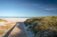 Web and White Sand Wall Decal