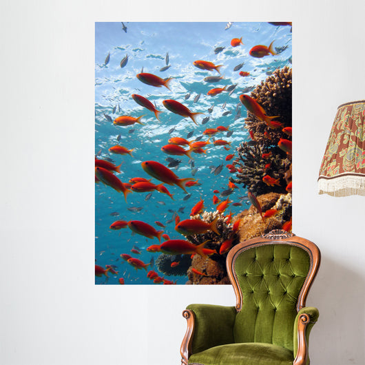 Coral Scene Wall Decal