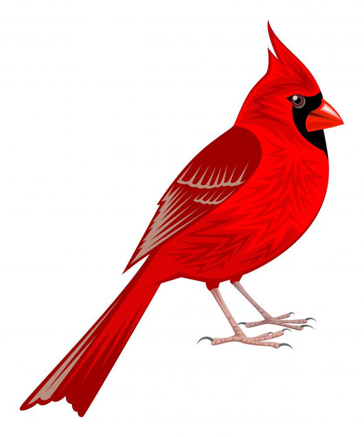 Northern Cardinal Wall Decal