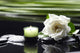 Gardenia Flower and Candle Wall Decal