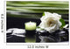 Gardenia Flower and Candle Wall Decal