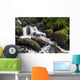Torc Waterfall Killarney National Wall Decal