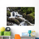 Torc Waterfall Killarney National Wall Decal